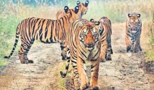 Top 15 places to visit in telangana, Telangana tourist places, best places to visit in telangana 