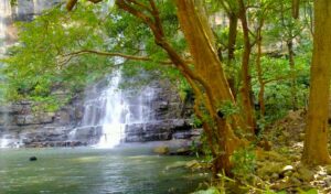 Top 15 places to visit in telangana, Telangana tourist places, best places to visit in telangana 
